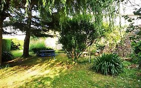 Coeur De Ville, Spacieux Appartement Rez De Jardin